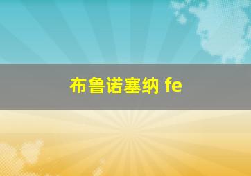 布鲁诺塞纳 fe